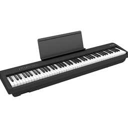 ROLAND FP30BKC FP30 Keyboard w/ Stand and Pedal Board