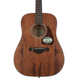 IBANEZ AW54OPN Acoustic Guitar Artwood Open Pore