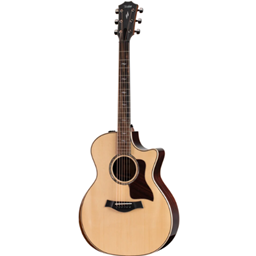 TAYLOR 814CE Grand Auditorium Guitar V Class