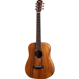 TAYLOR BTEKOA Acoustic Guitar