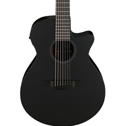 IBANEZ AEG721BOT AEG721 7 String Acoustic Guitar