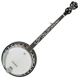 IBANEZ B200 Resonator Banjo