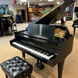 Baldwin BALDL 1973 L 6'3" Satin Ebony