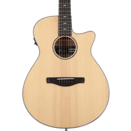 IBANEZ AEG200LGS AEG Acoustic Guitar