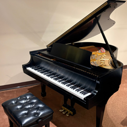 STEINWAY MODELMES Model M Ebony Satin