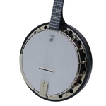 Deering Banjo A2 Artisan Goodtime 2 Banjo w/ Resonator