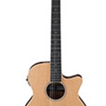 IBANEZ AEG7TNNT AEG Nylon String Guitar **AIMM Exclusive**