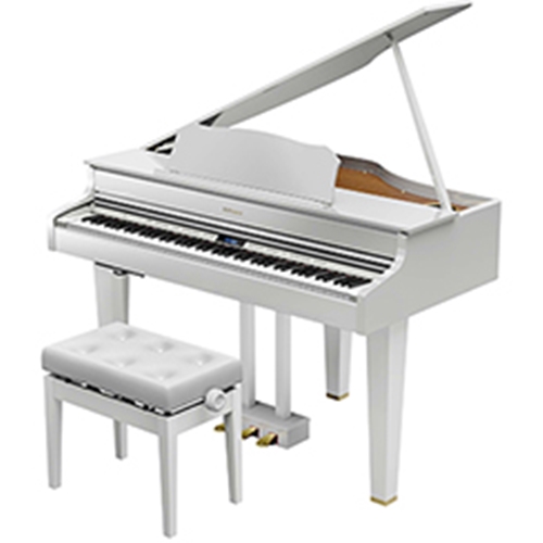 Robert M. Sides Family Music Center - ROLAND GP607PE Modeling Mini