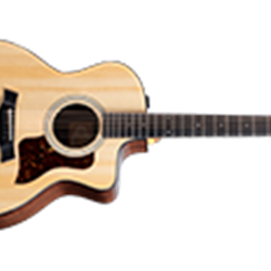 TAYLOR 214CEPLUS Grand Auditorium Acoustic Guitar w/ Aero Case Gloss Finish